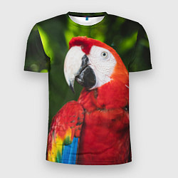 Мужская спорт-футболка Красный попугай Ара