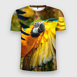 Мужская спорт-футболка Взлёт попугая
