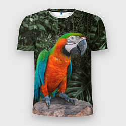 Мужская спорт-футболка Попугай Макао