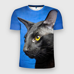 Футболка спортивная мужская Черный кот, цвет: 3D-принт