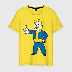 Мужская футболка Fallout Boy