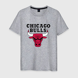 Мужская футболка Chicago Bulls