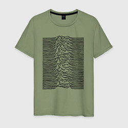 Мужская футболка Unknown Pleasures