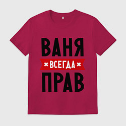 Мужская футболка Ваня всегда прав