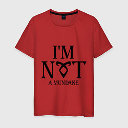 Мужская футболка I'm not a mundane