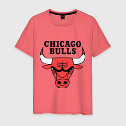 Мужская футболка Chicago Bulls