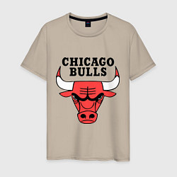 Мужская футболка Chicago Bulls