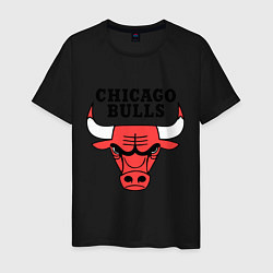 Мужская футболка Chicago Bulls