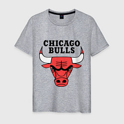 Мужская футболка Chicago Bulls