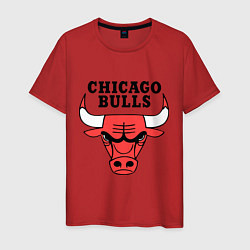 Футболка хлопковая мужская Chicago Bulls, цвет: красный