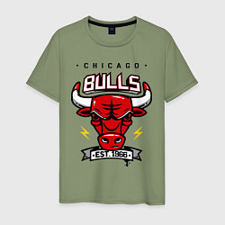 Мужская футболка Chicago Bulls est. 1966