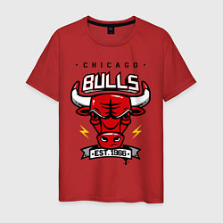 Мужская футболка Chicago Bulls est. 1966