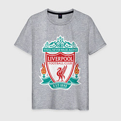 Футболка хлопковая мужская Liverpool FC, цвет: меланж
