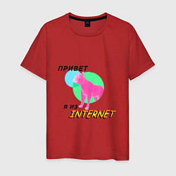 Мужская футболка Привет я из internet