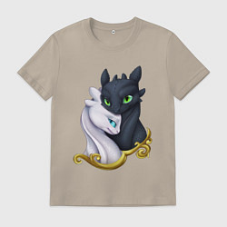 Мужская футболка Дневная и ночная фурия