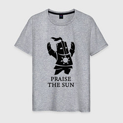 Футболка хлопковая мужская Praise the Sun, цвет: меланж