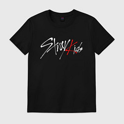 Футболка хлопковая мужская STRAY KIDS FELIX, цвет: черный