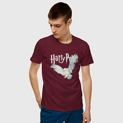 Футболка хлопковая мужская Гарри Поттер: Букля цвета меланж-бордовый — фото 2
