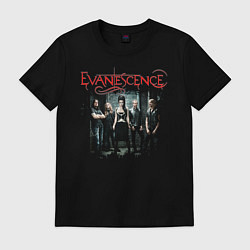 Футболка хлопковая мужская Evanescence, цвет: черный