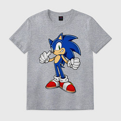 Футболка хлопковая мужская Sonic, цвет: меланж