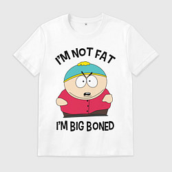 Мужская футболка Я не толстый