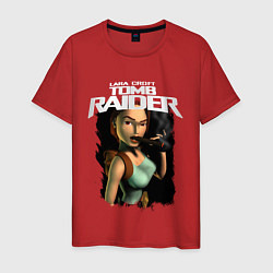 Мужская футболка TOMB RAIDER