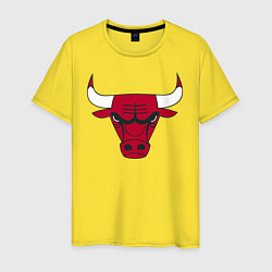 Мужская футболка Chicago Bulls