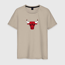 Мужская футболка CHICAGO BULLS