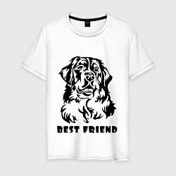 Мужская футболка BEST FRIEND Z