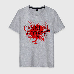 Футболка хлопковая мужская Cannibal Corpse, цвет: меланж