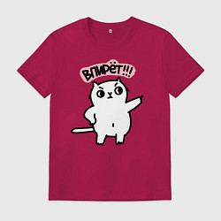 Мужская футболка Кот впирёт