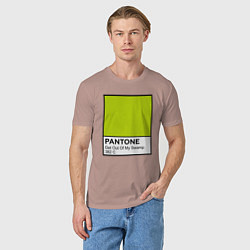 Футболка хлопковая мужская Shrek: Pantone Color, цвет: пыльно-розовый — фото 2