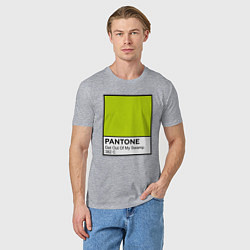 Футболка хлопковая мужская Shrek: Pantone Color, цвет: меланж — фото 2