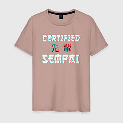 Мужская футболка Certified sempai