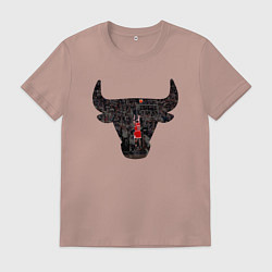Мужская футболка Bulls - Jordan
