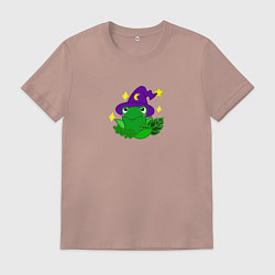 Мужская футболка Лягушка волшебница