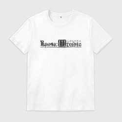 Футболка хлопковая мужская Врата Штейна логотип, цвет: белый