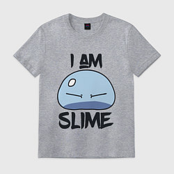 Футболка хлопковая мужская I AM SLIME, Я СЛИЗЬ, цвет: меланж