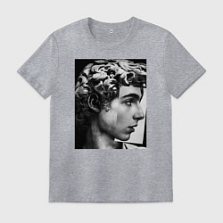 Мужская футболка Давид Скульптура Тимоти Шаламе