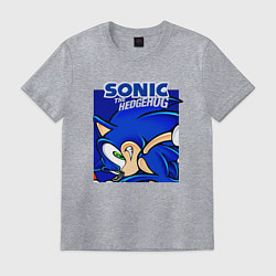 Футболка хлопковая мужская Sonic Adventure Sonic, цвет: меланж