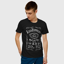 Футболка хлопковая мужская Led Zeppelin, Лед Зеппелин, цвет: черный — фото 2