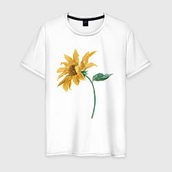 Футболка хлопковая мужская Branch With a Sunflower Подсолнух, цвет: белый