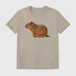 Футболка хлопковая мужская Капибара сидит и спит, цвет: миндальный