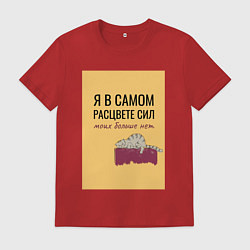 Футболка хлопковая мужская Уставший кот в полном расцвете сил, цвет: красный