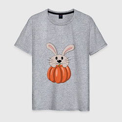 Футболка хлопковая мужская Кролик с тыквой, цвет: меланж