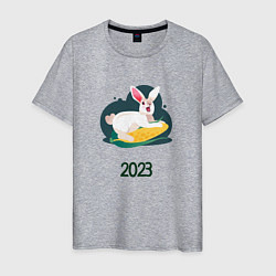 Футболка хлопковая мужская Кролик 2023, цвет: меланж