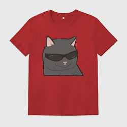 Футболка хлопковая мужская Серый котик в очках, цвет: красный