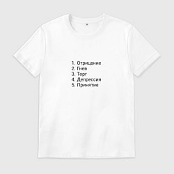 Мужская футболка 5 стадий