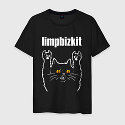 Футболка хлопковая мужская Limp Bizkit rock cat, цвет: черный