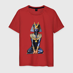 Футболка хлопковая мужская Фараон синий, цвет: красный